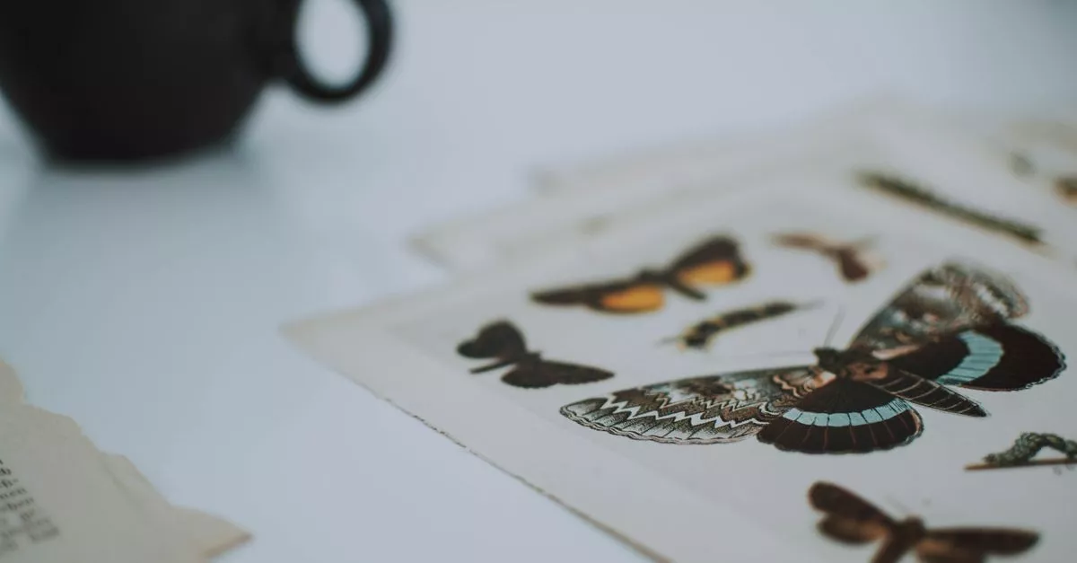Baker Prints