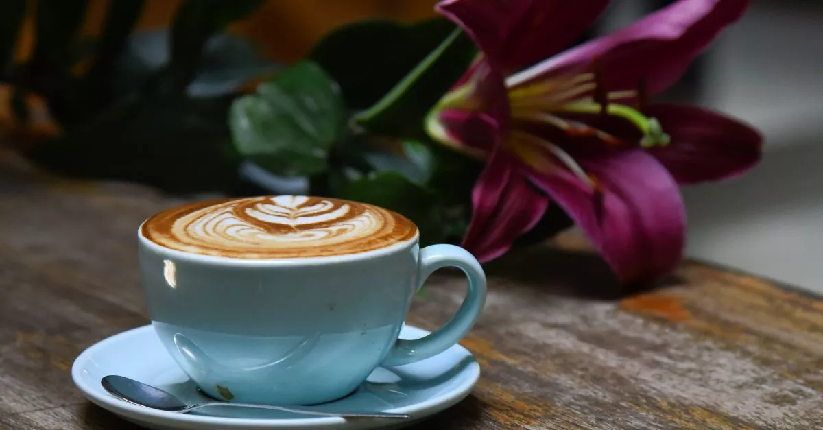 Exquisite 501