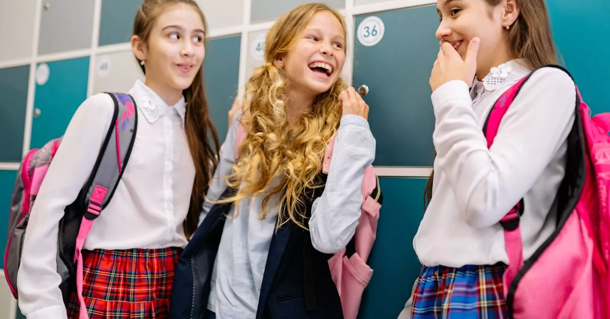 Lycee Francais de Chicago/ The French International School