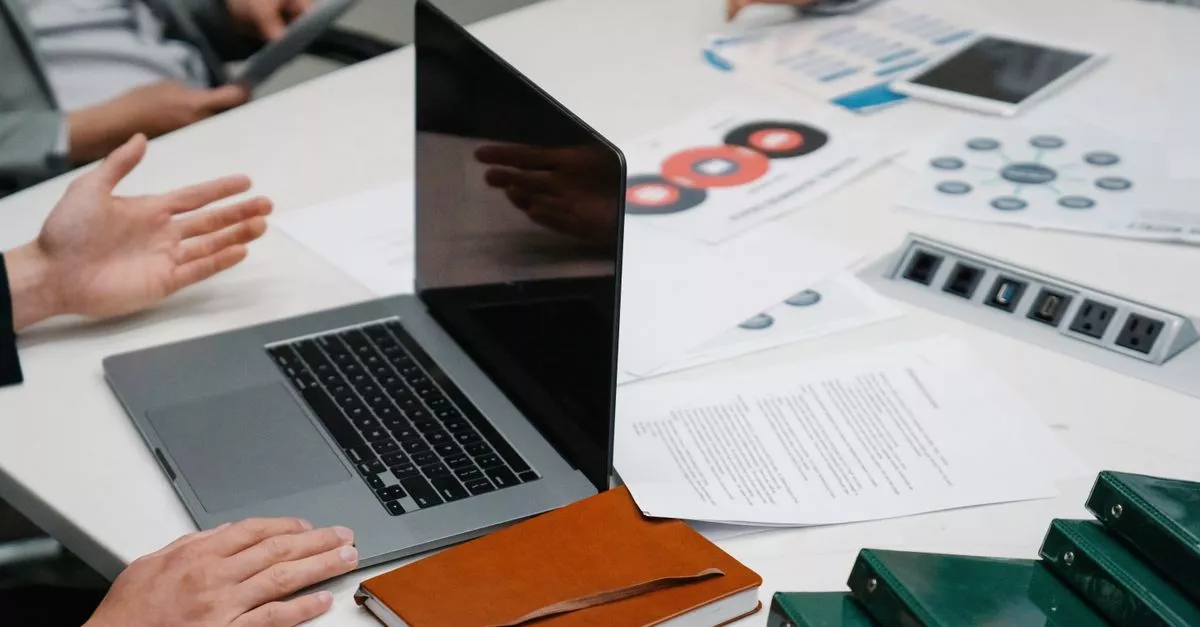 Bridge Professional Services