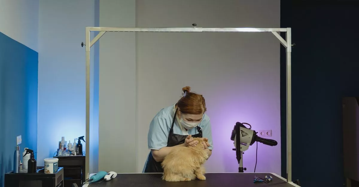 Kindred Veterinary