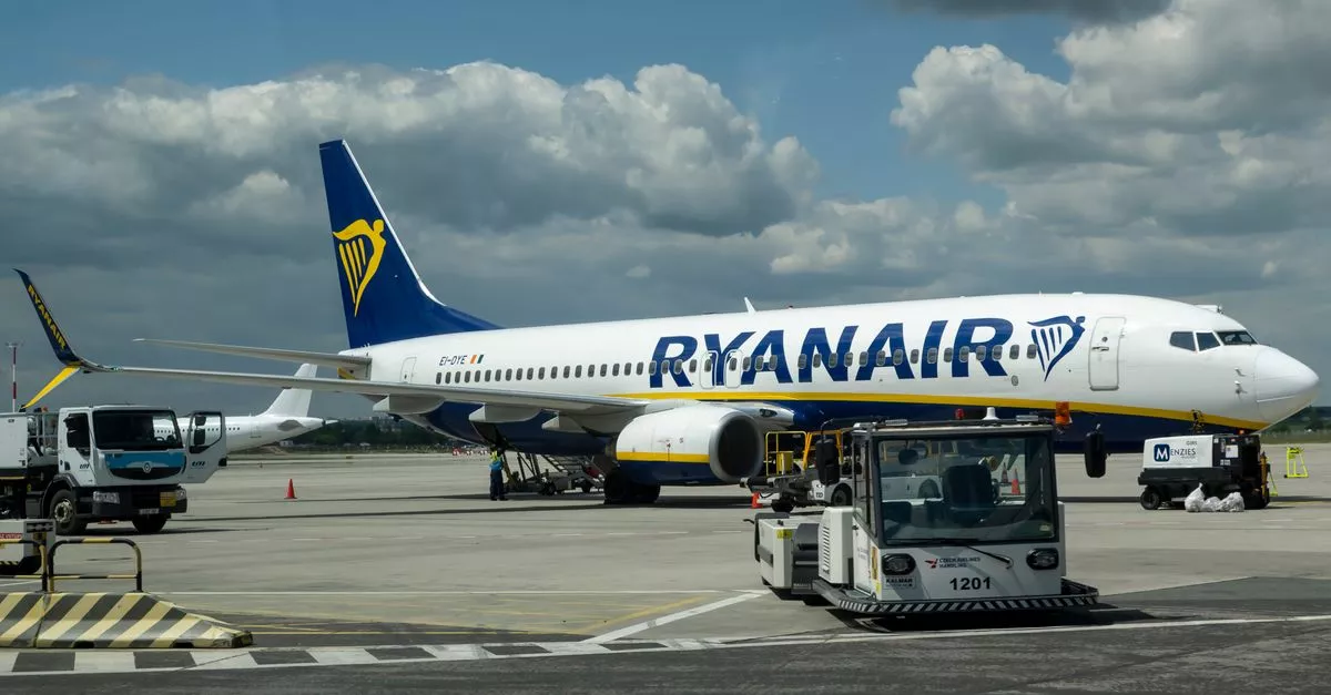 Diddis Travel and Income Tax