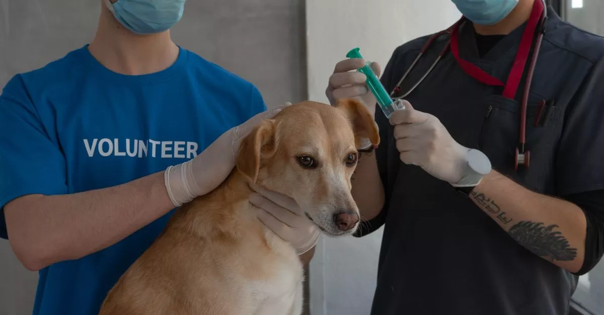 Montrose Veterinary Clinic