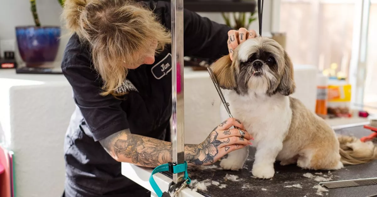 Woof Gang Bakery & Grooming Dilworth