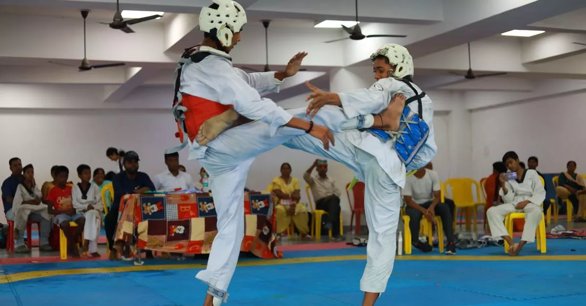 Houston Karate Academy