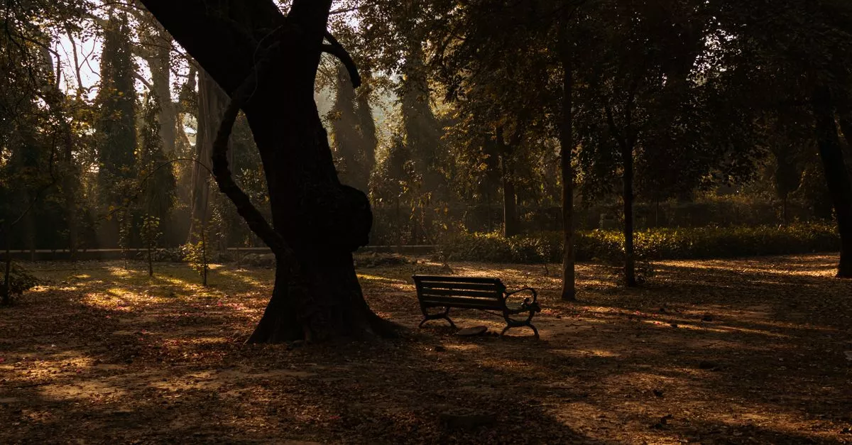 Wilson Park