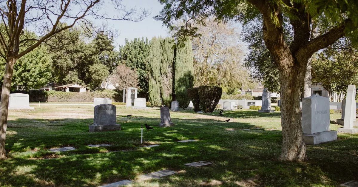 Theis-Gorski Funeral Home and Cremation Service