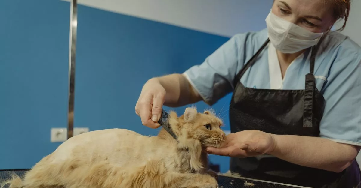 West Wrigley Animal Hospital