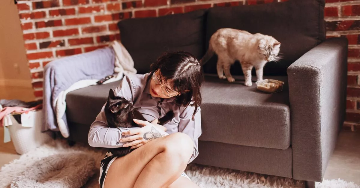 Yesspet Pet Care