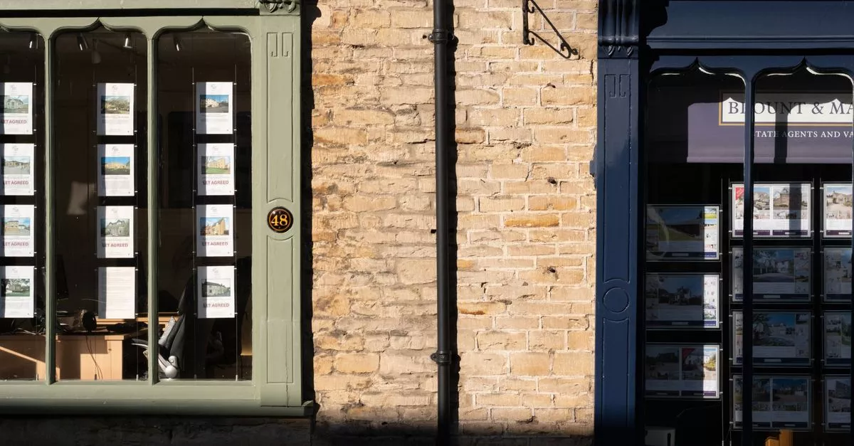 Tempo Real Estate Inc