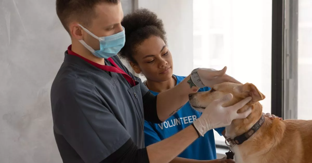 Ashland Animal Hospital