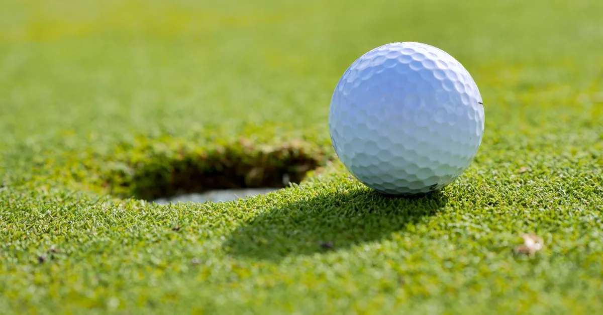 Sydney R. Marovitz Golf Course
