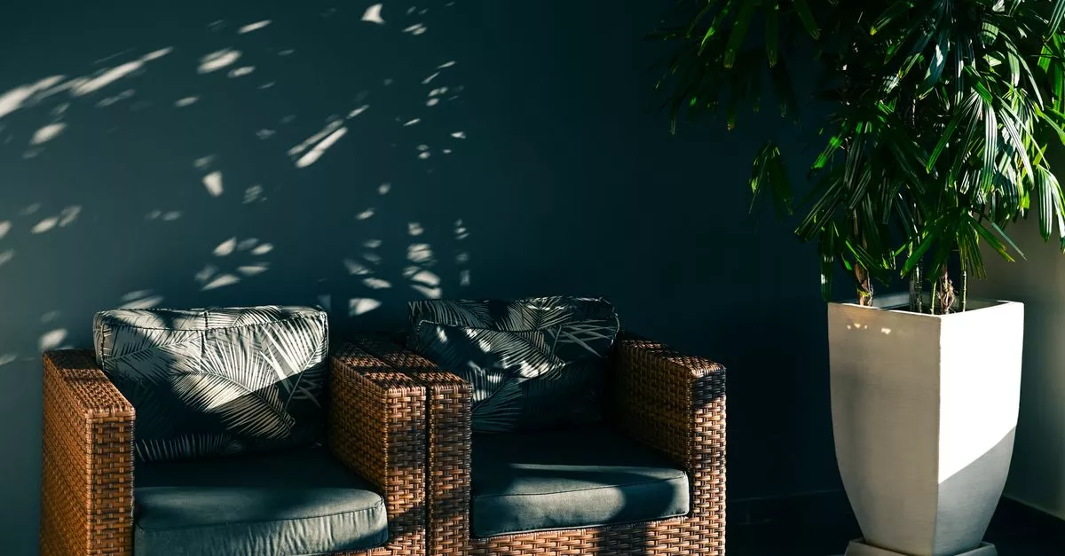 Consignment Lounge
