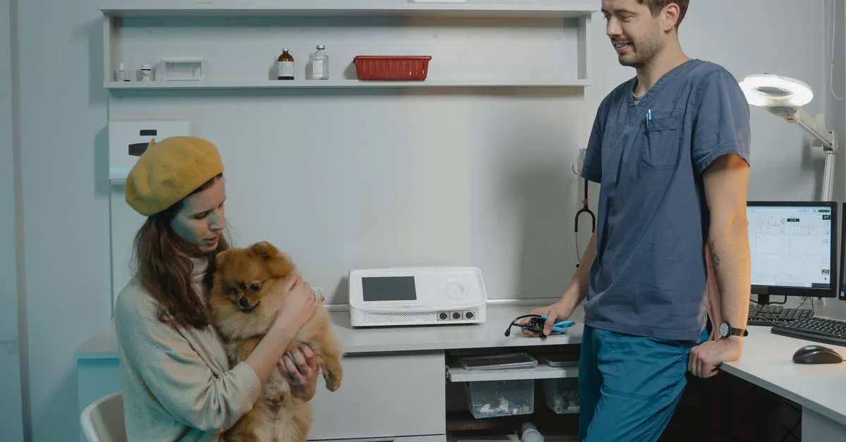 Mayfair Animal Clinic
