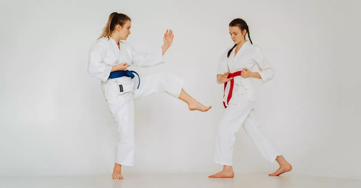 International Traditional Karate Association