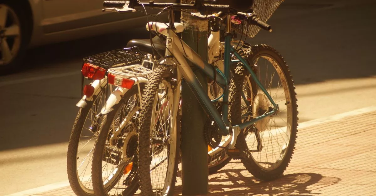 Lakeshore Bike