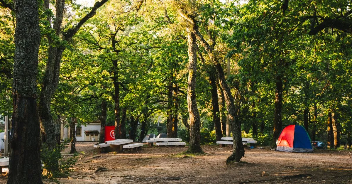 St. Constance Summer Camp