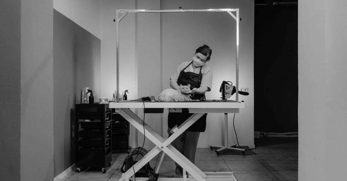 Bucktown Bow and Meow Pet Spa