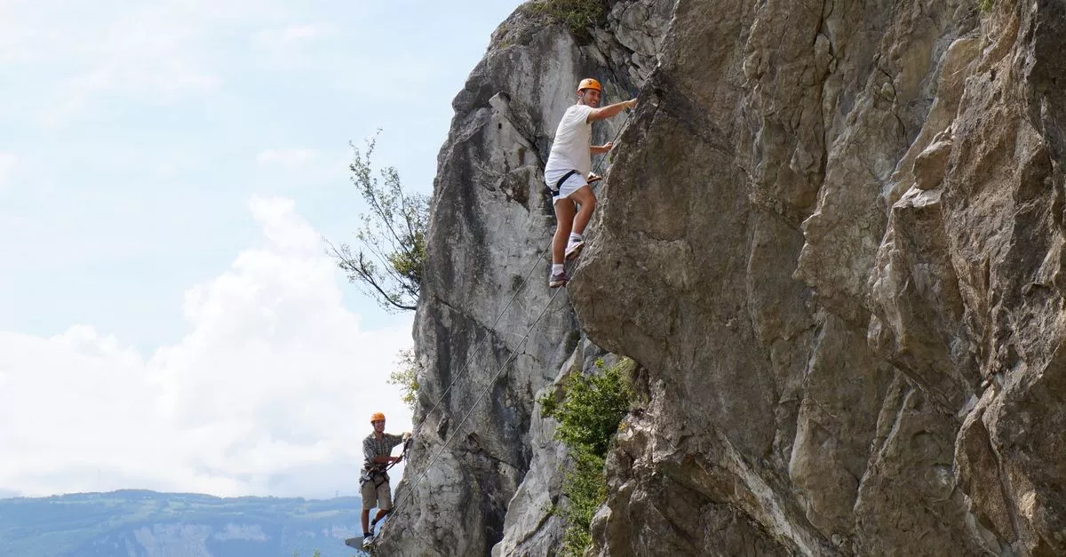 Movement Climbing, Yoga, Fitness