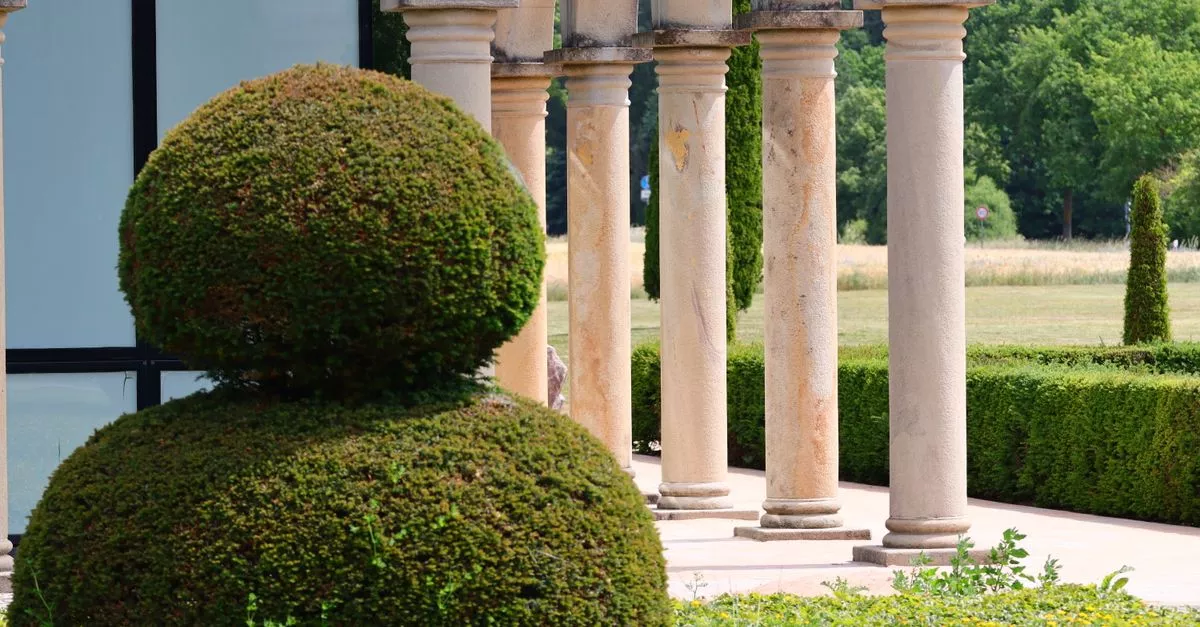 MT Lawncare Services