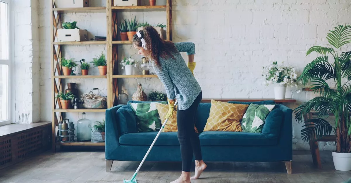 Fmu Commercial Cleaning Services