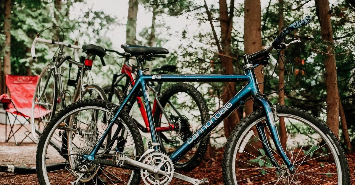 EZ Rider Bike Shop