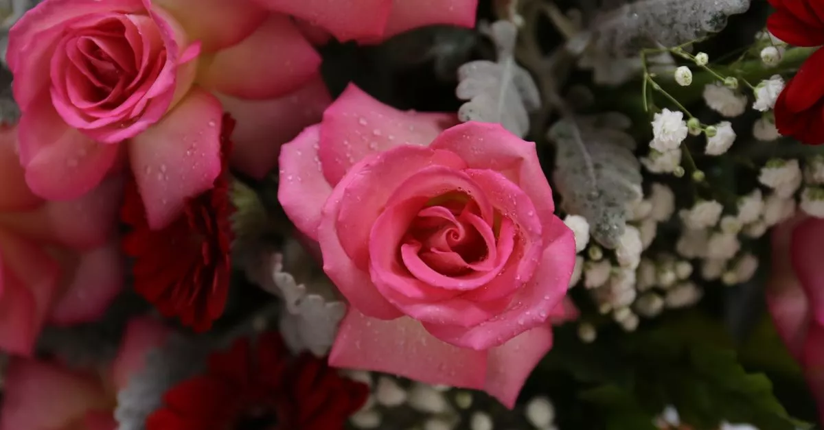 Krystyna's Flowers