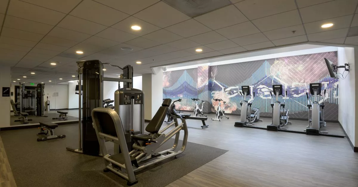 AIR Aerial Fitness - Lincoln Park