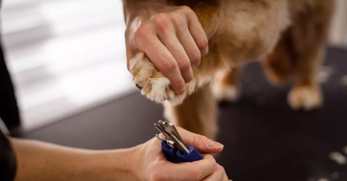 Blink and Polish Nail Salon