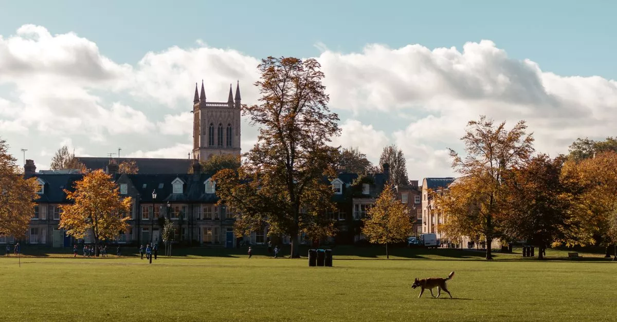 The University of Chicago