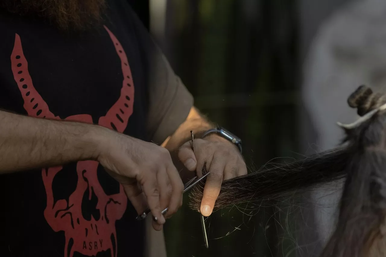 Not A Hair In The World