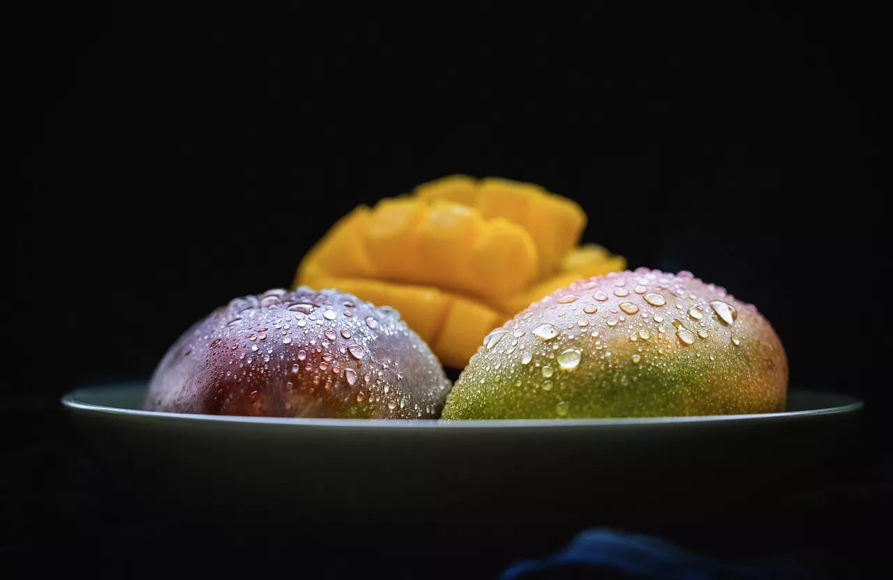 Goldberg Photography