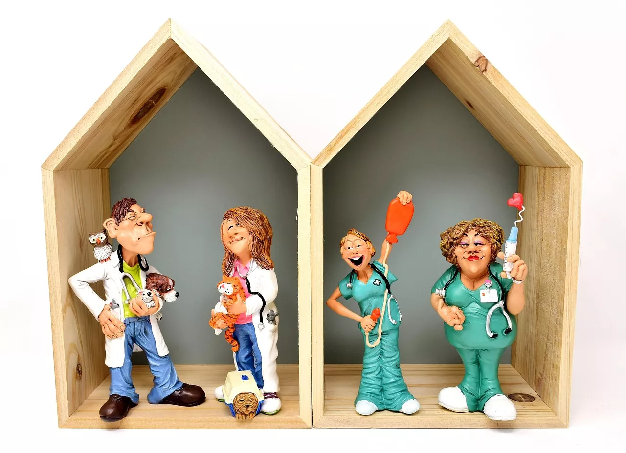 South Loop Animal Hospital