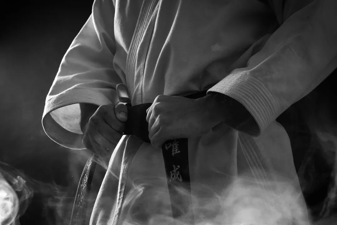 Aikido World Alliance