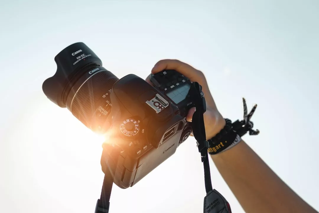 Edward Fox Photography & Video