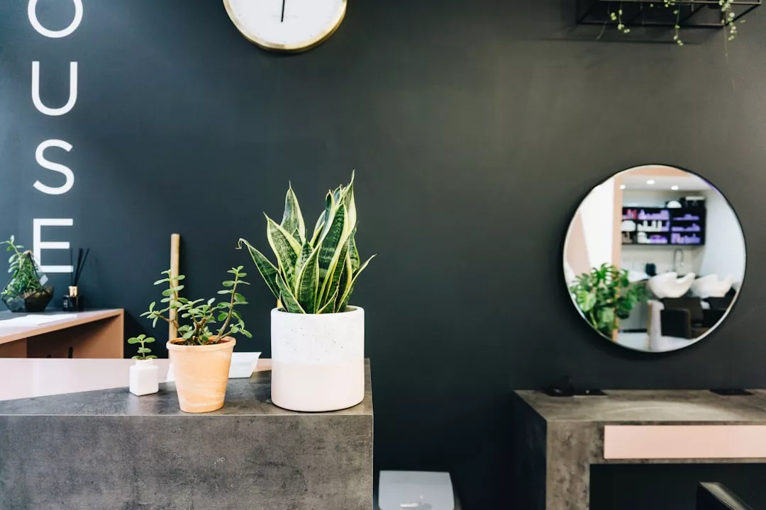 Studio84One Hair Salon