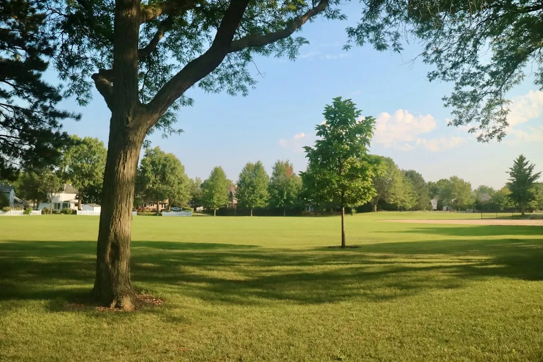 Tarkington Park