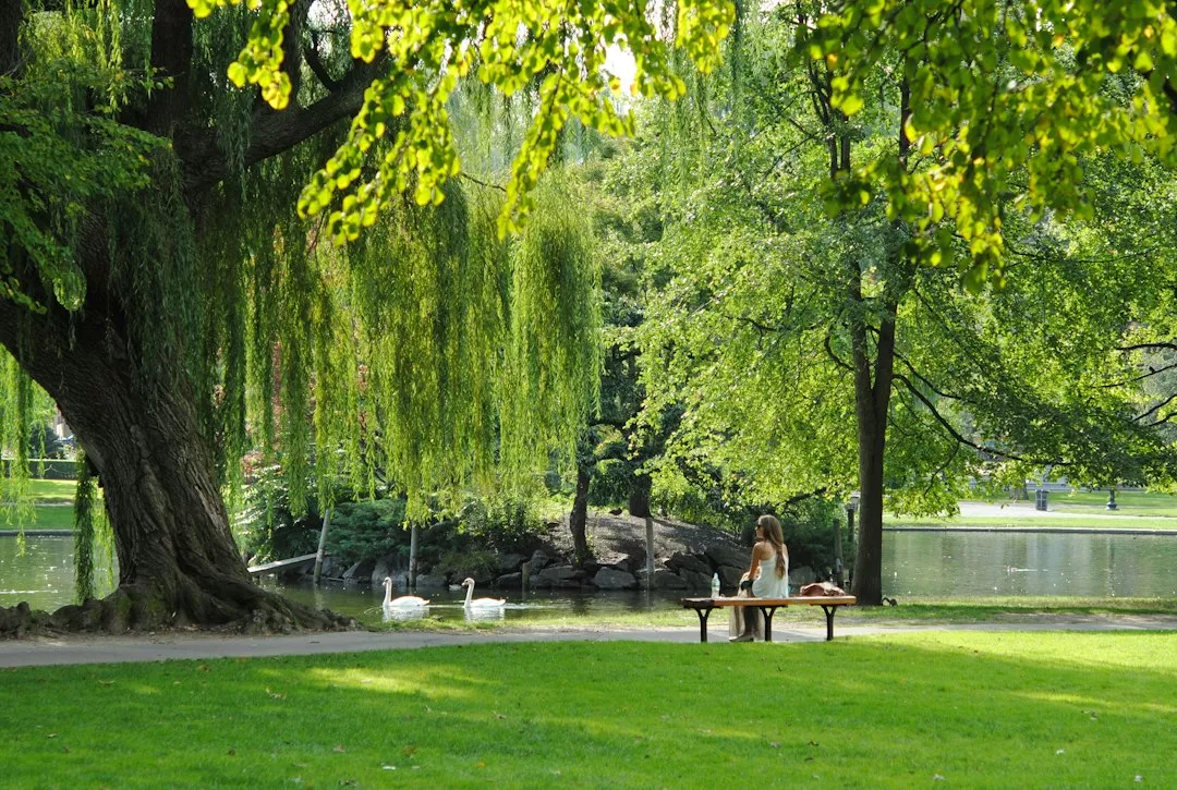Berger (Albert) Park